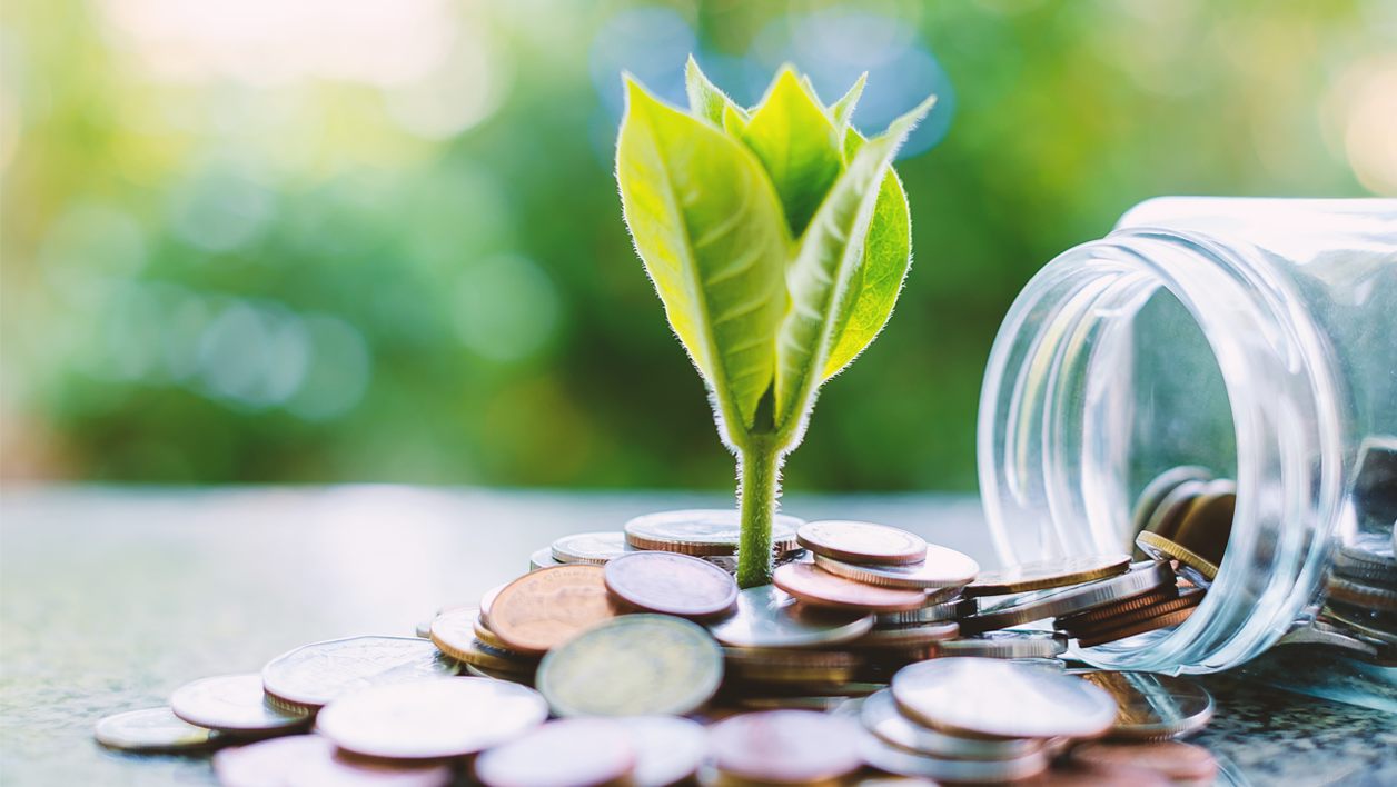 A cohort analysis of the investment performance of TIAA Traditional Annuities during working life