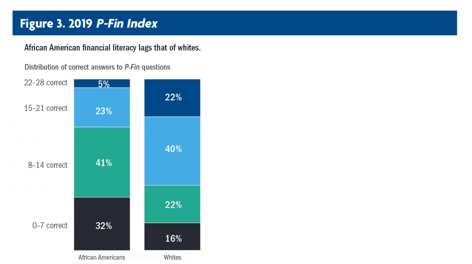 Financial literacy, wellness and resilience among African Americans