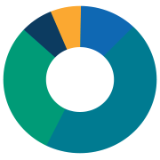 Pie chart demonstrating investment allocation