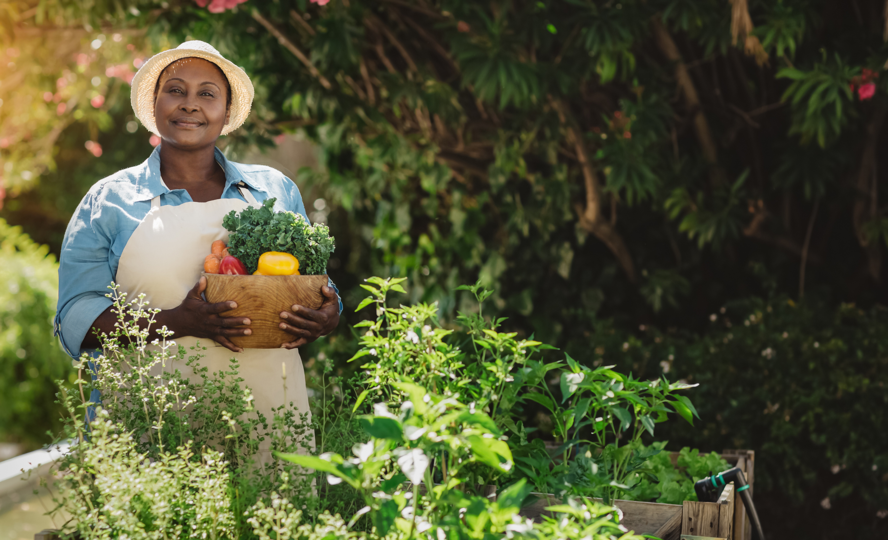 Woman with contented smile collecting vegetables from her sunny garden