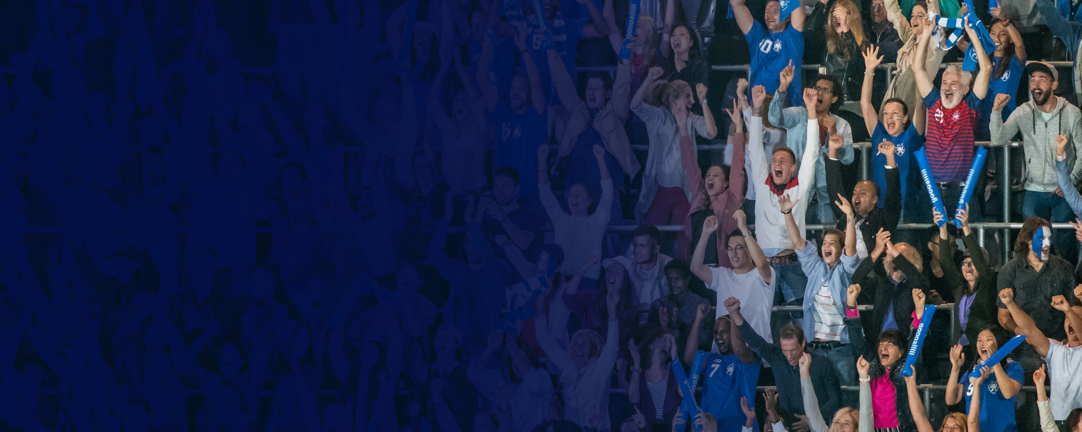 People cheer at a sports event.