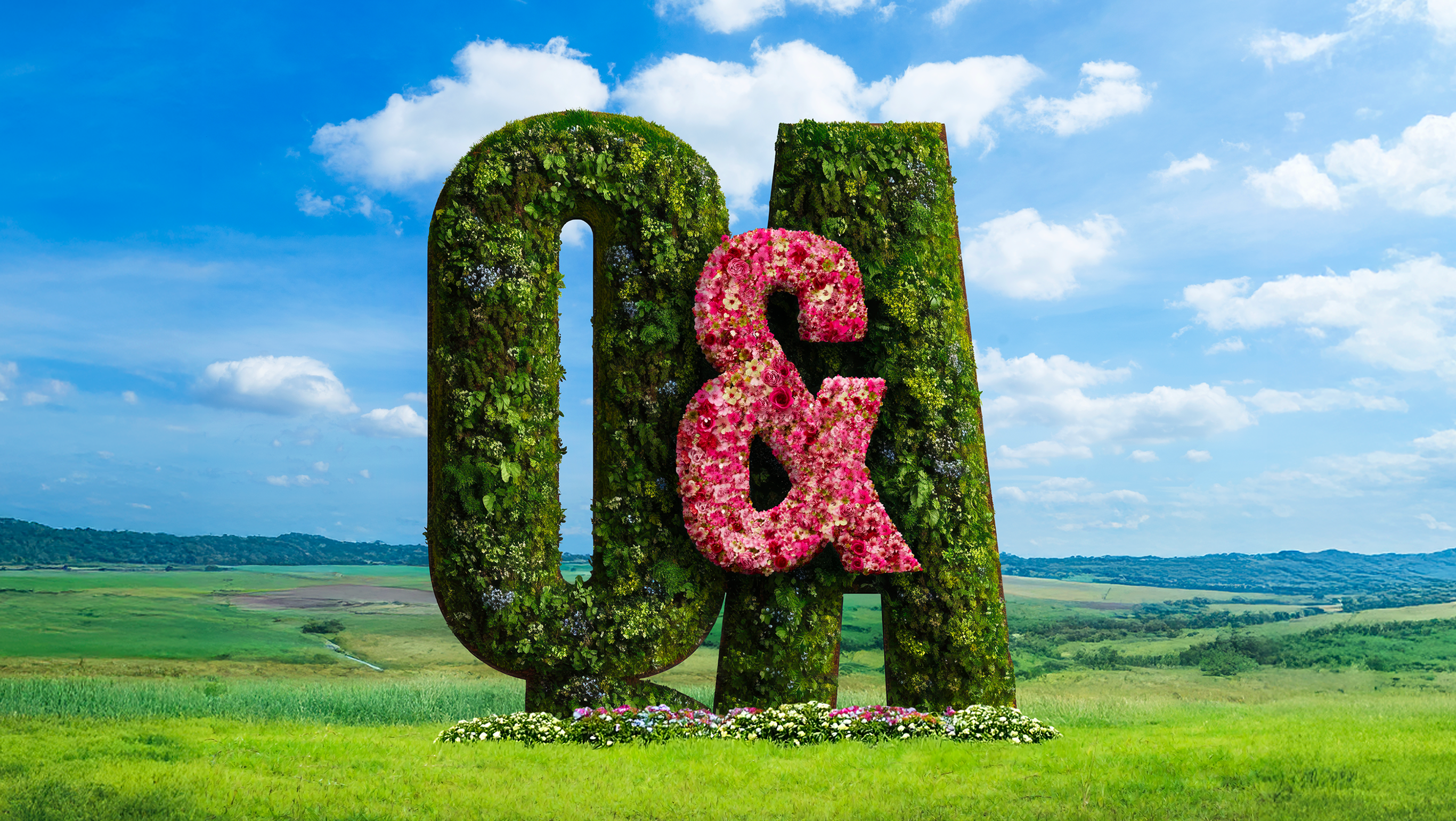 A hedgerow and flowers form the shape of a Q&A.
