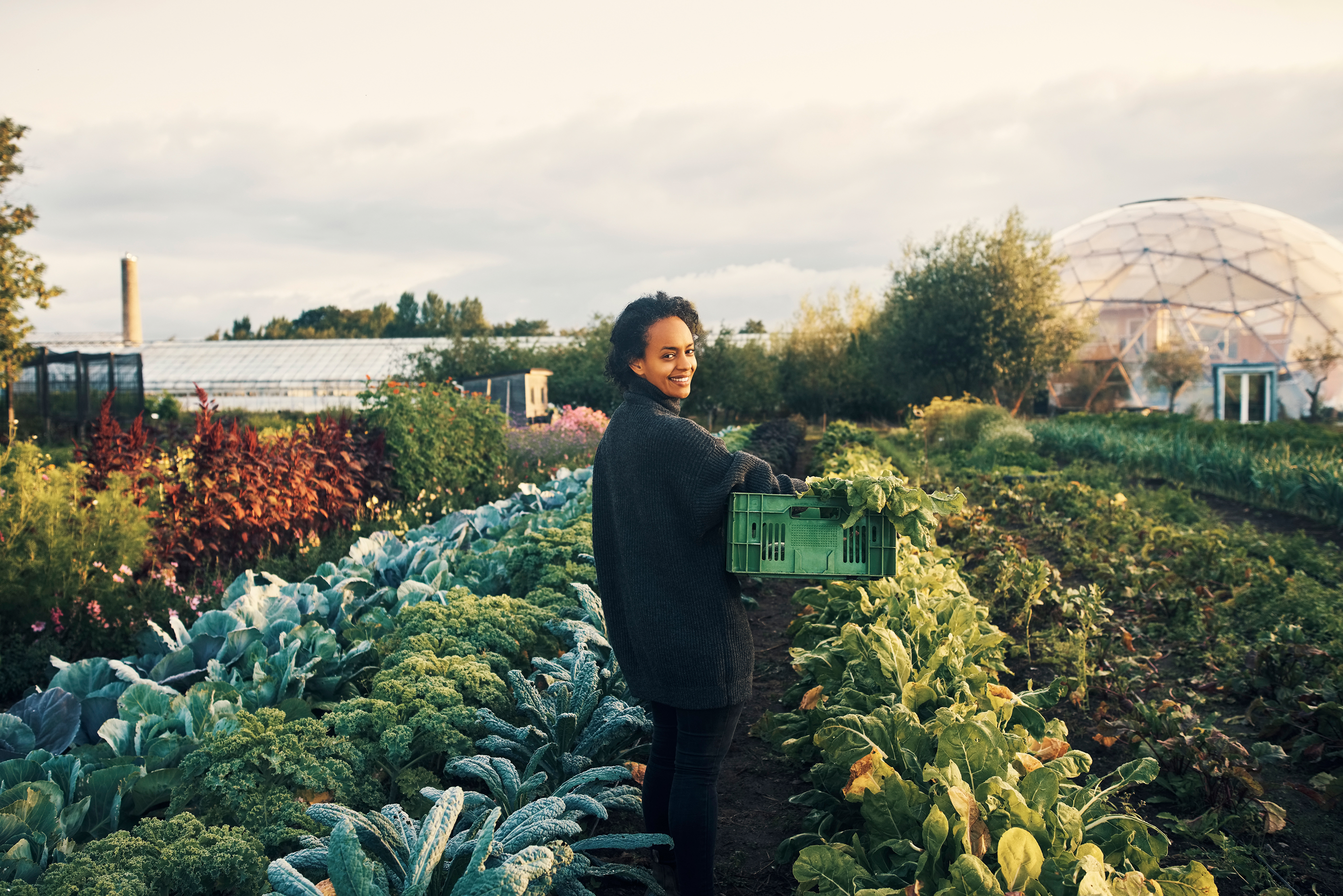harvesting-food_asset50-50_3-2_10grid.png A woman stands in a vegetable garden, holding a green box filled with fresh produce.