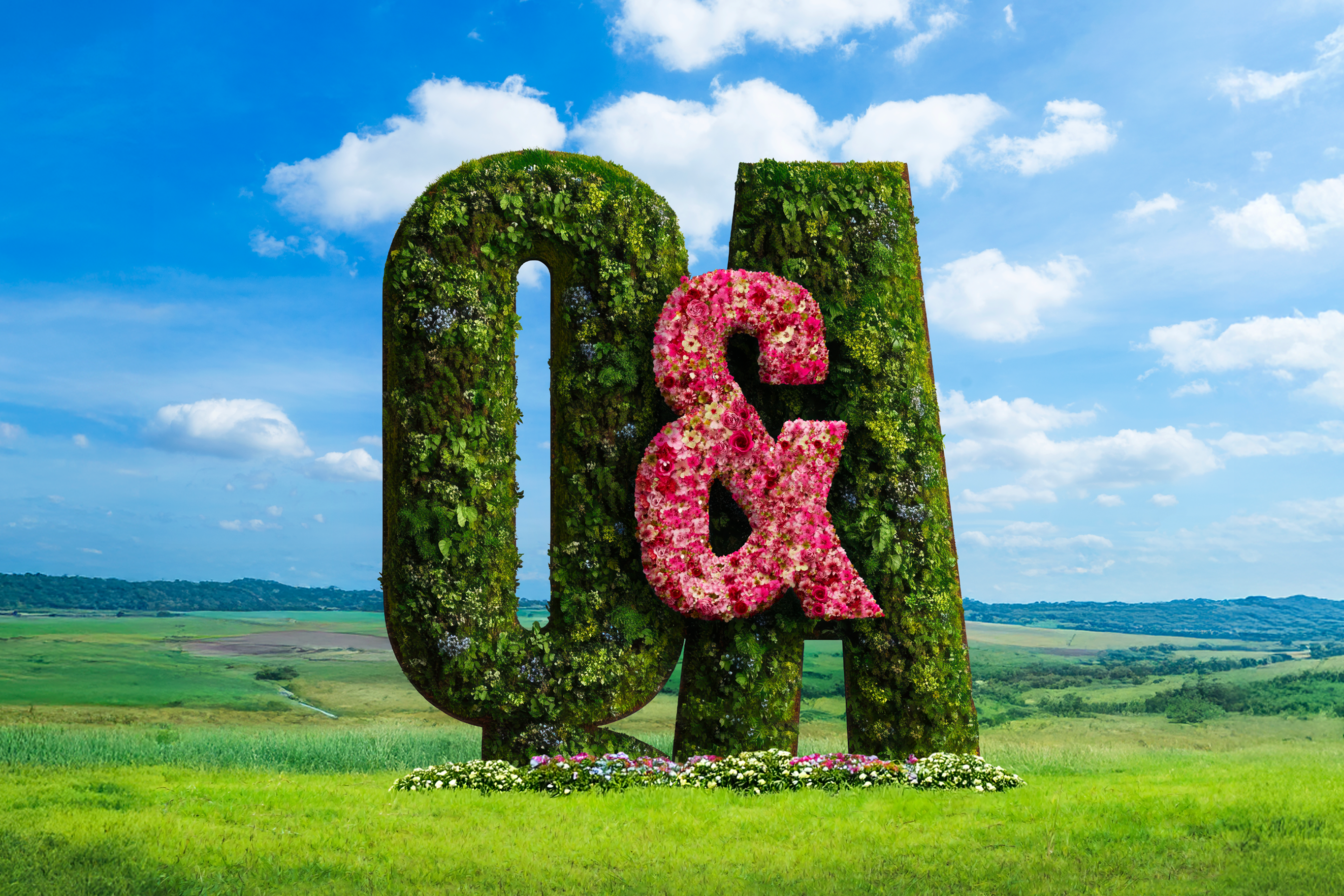 A hedgerow and flowers form the shape of a Q&A.