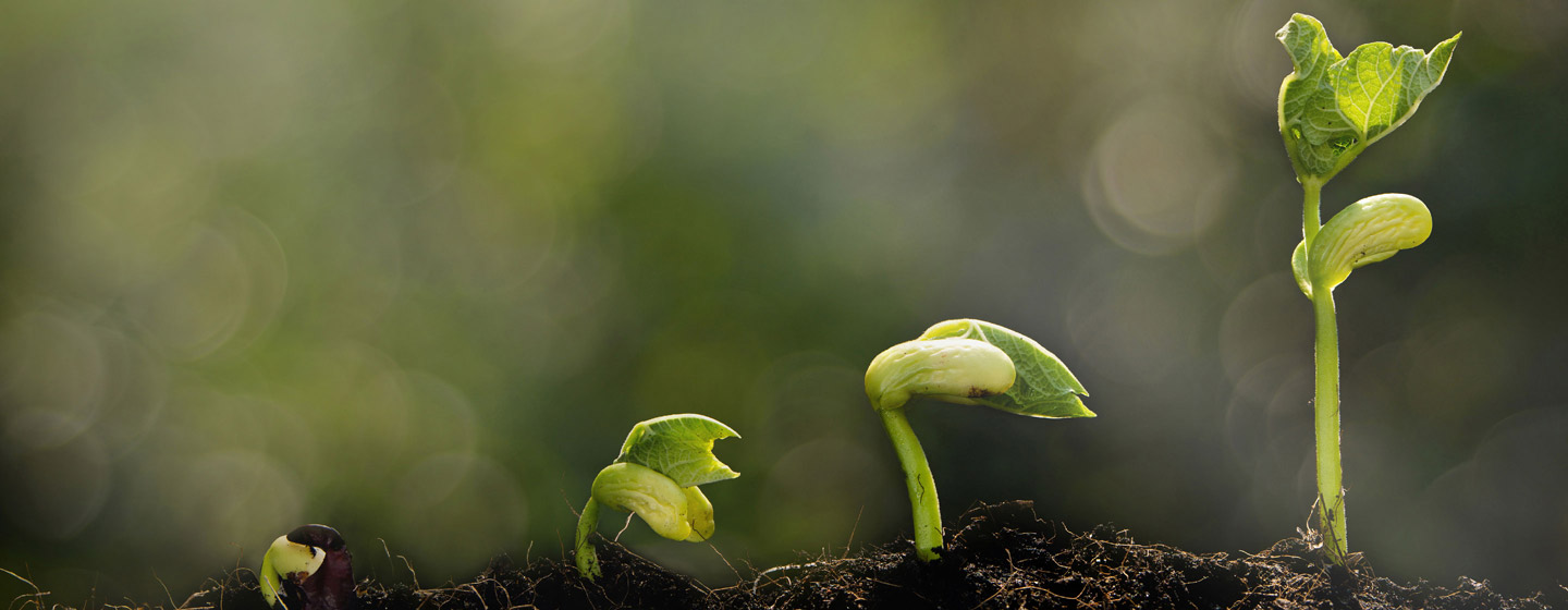 Investing, Advice, Retirement and Banking | TIAA
