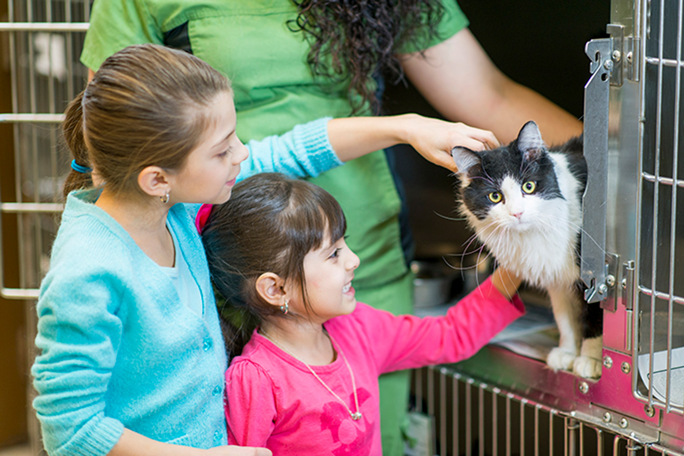 Kids can earn money while learning about a cause. These two children are petting a cat at a kennel.