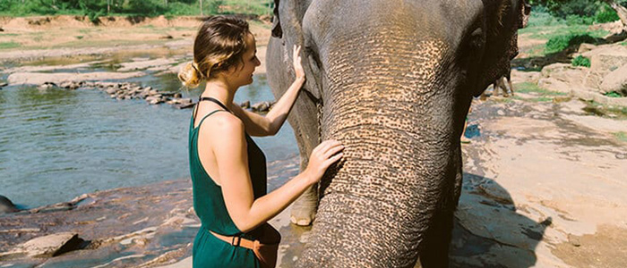 Woman touching trunk of elephant near watering hole