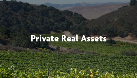 Private real asset
