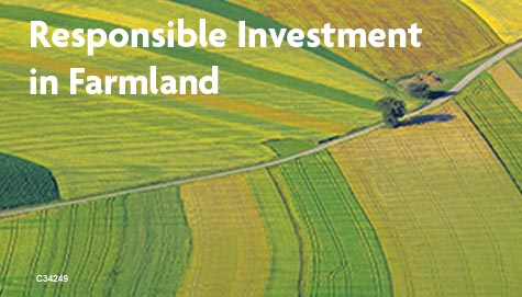 Responsible Investment in Farmland